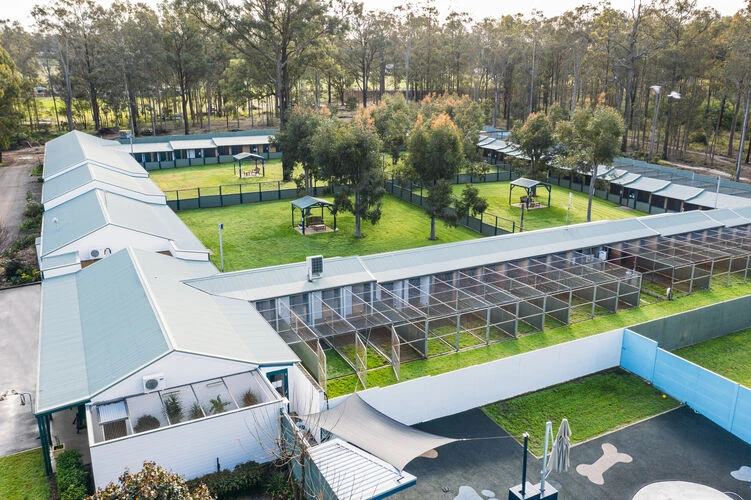 Pet boarding and daycare,